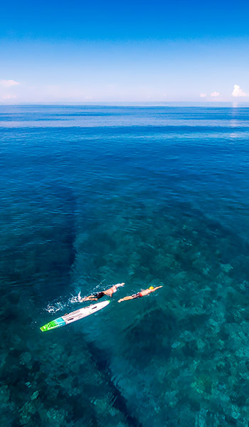 Snorkeling à Tahiti