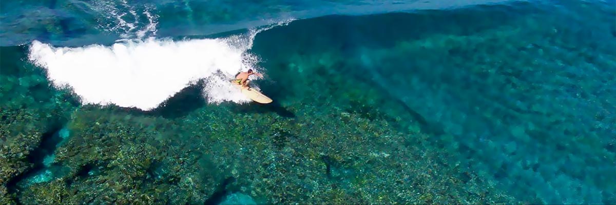 Surf lodge à Papara Tahiti